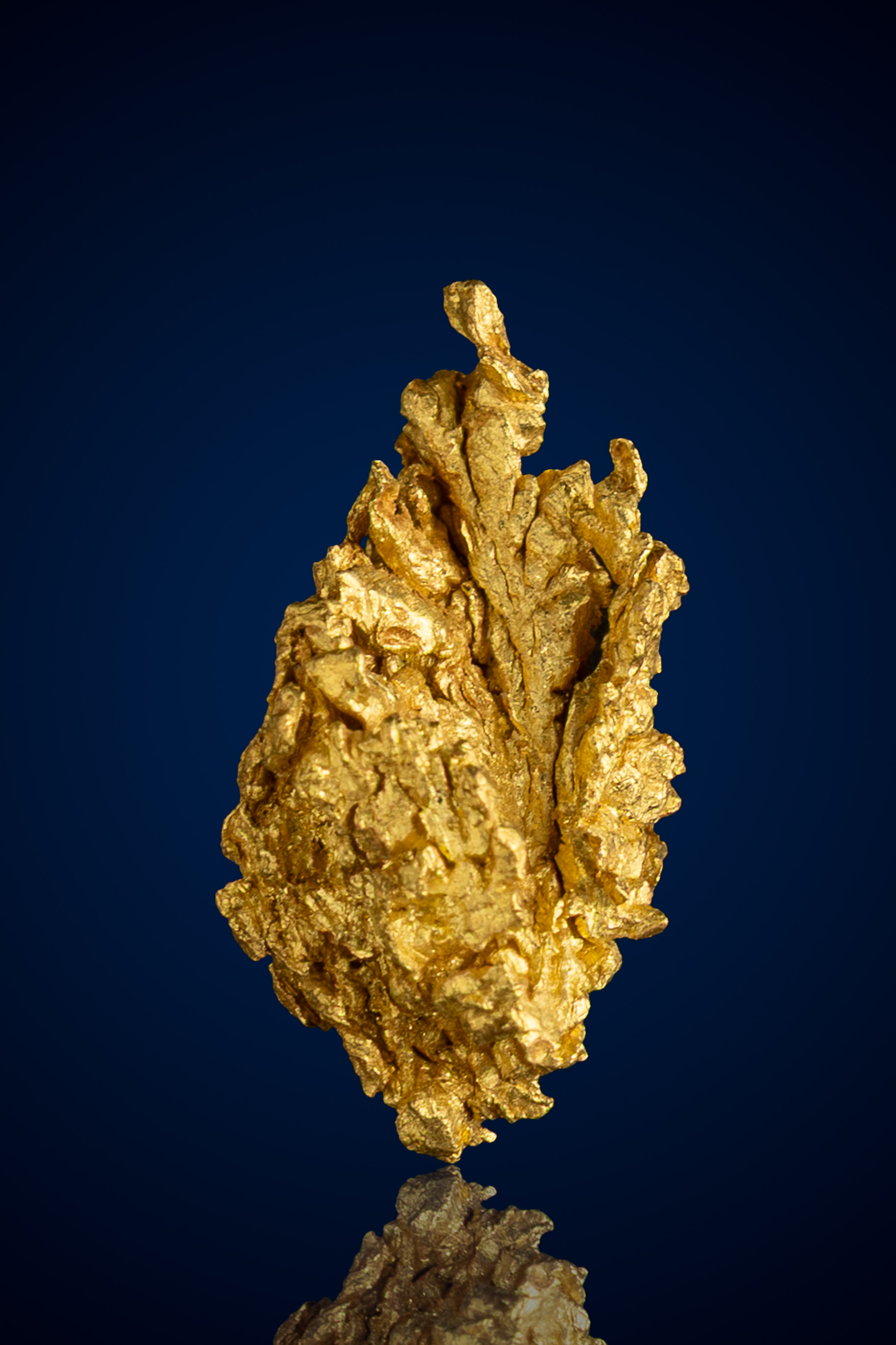 (image for) Organic, Flame-Like Natural Gold Nugget - Mariposa County, CA - 2.57 grams